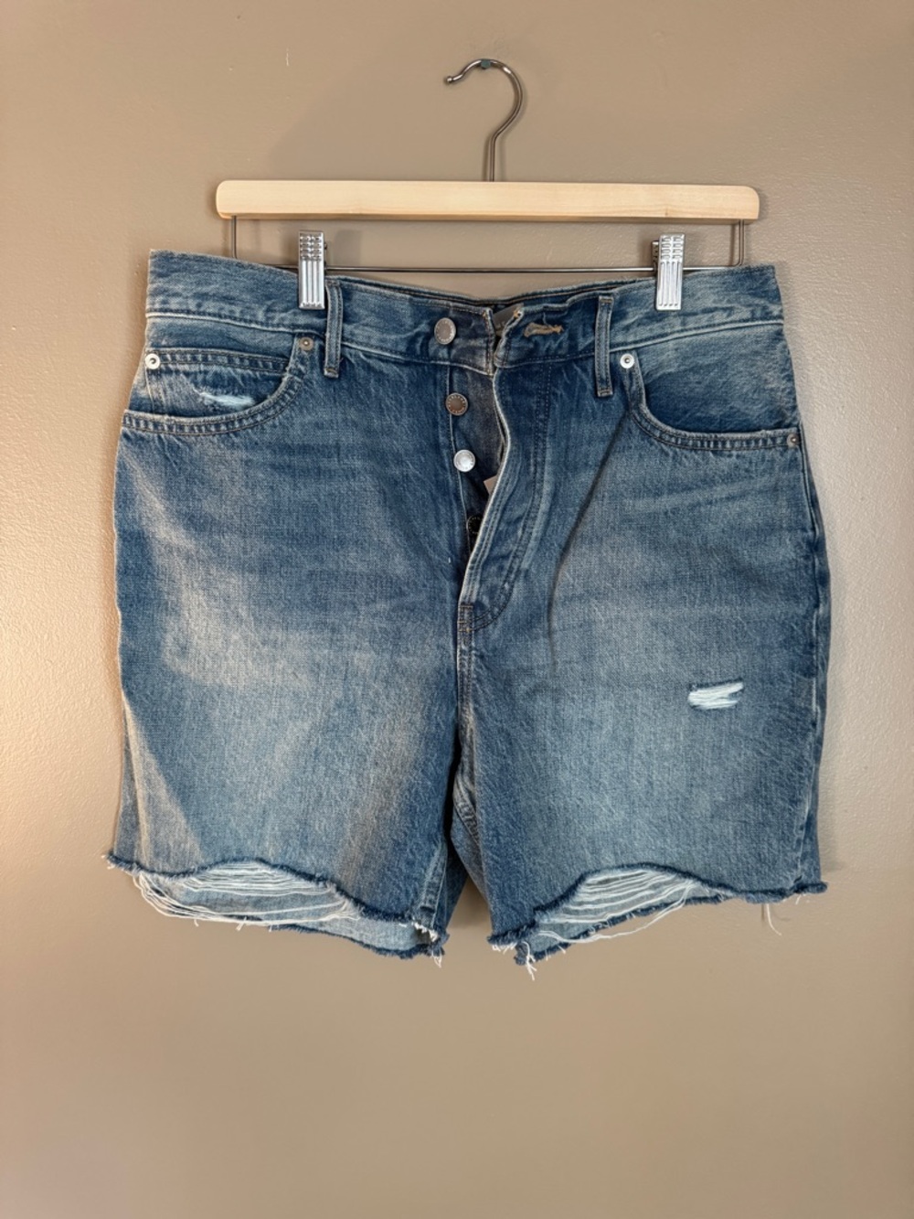 Everlane The Rigid Way High Short